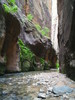 photo thumbnail #14