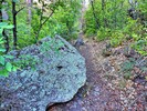 photo thumbnail #2