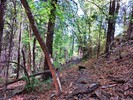 photo thumbnail #10