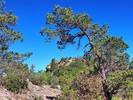 photo thumbnail #13