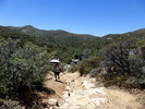 photo thumbnail #13