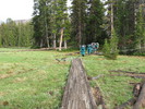 photo thumbnail #10
