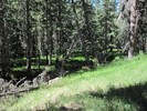 photo thumbnail #7