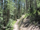 photo thumbnail #10