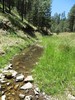 photo thumbnail #13