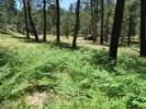 photo thumbnail #15