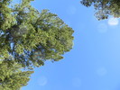photo thumbnail #11