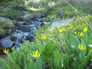 photo thumbnail #7