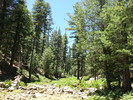 photo thumbnail #12