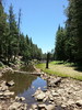 photo thumbnail #13
