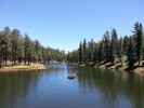 photo thumbnail #14