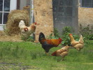 photo thumbnail #1