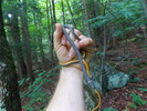 photo thumbnail #11