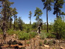 photo thumbnail #1