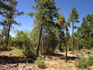 photo thumbnail #8
