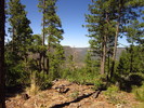 photo thumbnail #10