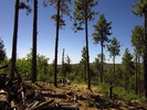 photo thumbnail #11