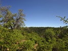 photo thumbnail #13