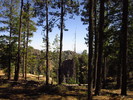 photo thumbnail #11