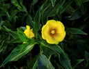 photo thumbnail #9
