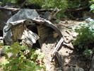 photo thumbnail #3