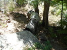 photo thumbnail #6