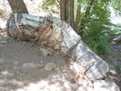 photo thumbnail #7