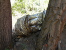 photo thumbnail #8