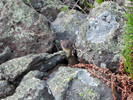photo thumbnail #3