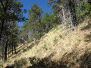 photo thumbnail #6