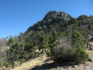 photo thumbnail #11