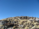 photo thumbnail #12