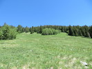photo thumbnail #12
