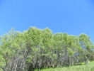 photo thumbnail #13