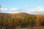 2014-06-29 :2: Escudilla Trail :: azfamilyhike