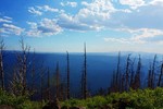 photo thumbnail #14