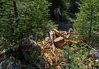 photo thumbnail #9