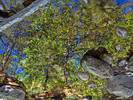 photo thumbnail #11