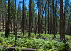 photo thumbnail #14