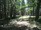 photo thumbnail #1