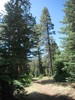 photo thumbnail #10