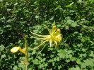 photo thumbnail #11