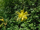 photo thumbnail #12