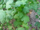 photo thumbnail #13