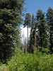 photo thumbnail #14