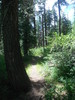photo thumbnail #15