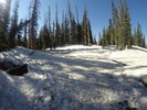 photo thumbnail #3
