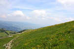 photo thumbnail #12