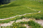 photo thumbnail #13