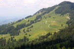 photo thumbnail #14